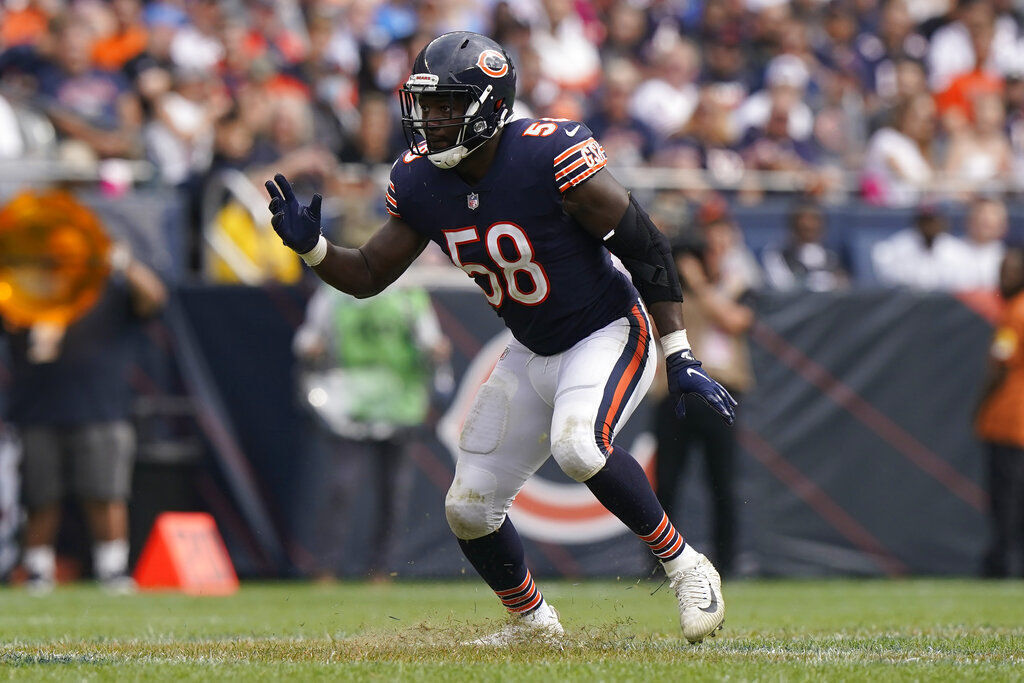 Lions Bears Football